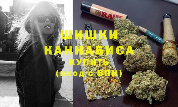 гашик Бронницы