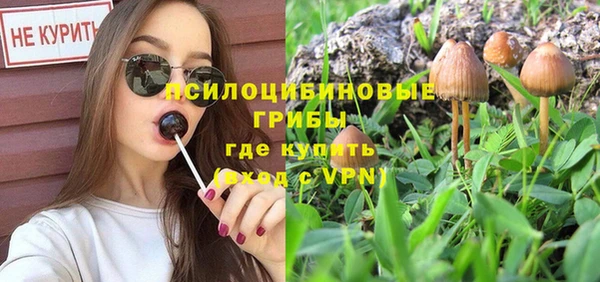 кокс Бородино