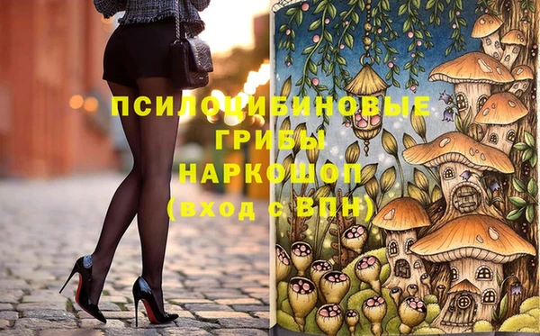 кокс Бородино