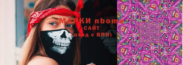 гашик Бронницы