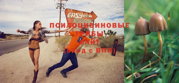кокс Бородино