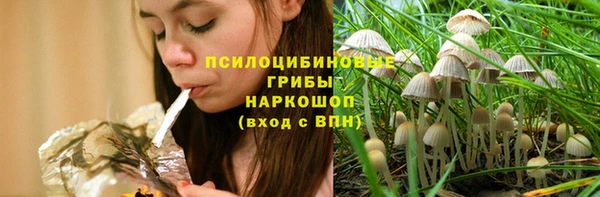 гашик Бронницы