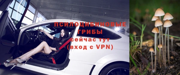 кокс Бородино